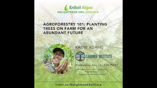 19 Agroforestry 101 Planting Trees on Farm for an Abundant Future with Katie Adams Savanna Inst [upl. by Lyell690]