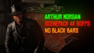 Arthur Morgan Chapters 46 Scenepack  4k 60fps [upl. by Esela]