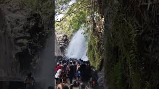 Agasthiyar falls pabanasam agasthiyarfalls falls hills summer tourism shorts viral [upl. by Easter153]