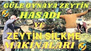 Zeytin Hasadı Nasıl Yapılır Zeytin Silkme Makinaları [upl. by Giuseppe]