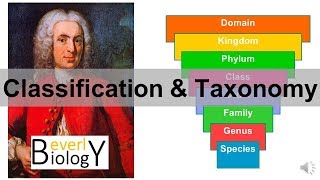 Classification and Taxonomy [upl. by Sixele]