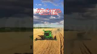 wheatharvesting wheat wheatproduction wheat wheatpricepunjab greenfieldstv greefields foru [upl. by Orianna360]