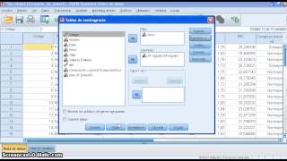 chi cuadrado tabla contingencia spss [upl. by Doane]