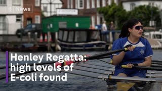 EColi levels found to be 27 times higher than acceptable in Thames ahead of Henley regatta [upl. by Ahsienet]