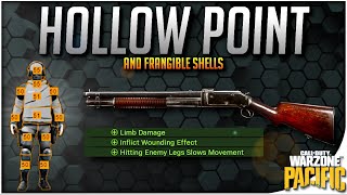 Hollow Point and Frangible Ammo Should You Use it Warzone Shotgun Stats [upl. by Retseh]