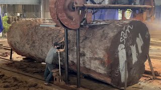 Amazing Woodworking Factory  Extreme Wood Cutting Sawmill Machines Cheesy Wood Giant 1000 Year Old [upl. by Audun]