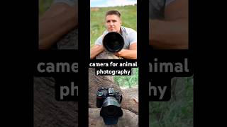 Camera for animal photography 🦜  Nikon d850 wildlife photography settings  shorts shortsfeed [upl. by Aynom]