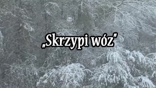 Skrzypi wóz  Pastorałka w wykonaniu Scholi Św Marcina [upl. by Sonaj926]