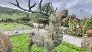 Una bonita finca ganadera cinegética y de ocio con 360 has cerca de Jimena de la Frontera [upl. by Sonitnatsok]