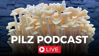 Pilz Podcast Live Folge 78 mit derpilzfluesterer [upl. by Shandy634]