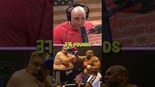 Joe Rogan and Mike Tyson on Fighting Bob Sapp 🔥 [upl. by Siwel]