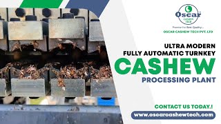 Ultra Modern Fully Automatic Turnkey Cashew Processing Plant Cashew Processing Plant [upl. by Llener]