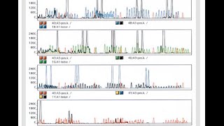 Short Tandem Repeats STR amp DNA profiling [upl. by Derek]