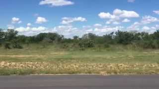 Plane landing at Skukuza Airport inside Kruger National Park in South Africa [upl. by Egnalos745]