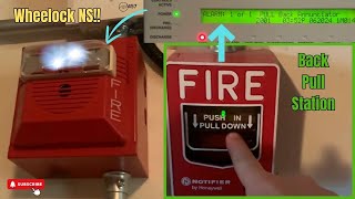 Annunciator Pull Station Fire Alarm System Test 3 [upl. by Masera]