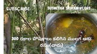 👉300 పోషకాలు కలిగిన ములగాకు చారు🌿👌moringa leaves benifits Usescooking susmitha sriram vlogs👍 [upl. by Odlopoel843]