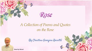 A Collection of Poems and Quotes on the Rose  By Christina Georgina Rossetti Read by Narad [upl. by Bradski693]