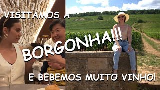 VISITAMOS A BORGONHA A TERRA DO VINHO [upl. by Nesaj593]