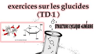 les glucides  série dexercice TD1 structure cyclique et linéaire [upl. by Anelle]