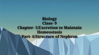 Biology SCERT Class9 Chapter 5Excretion to Maintain Homeostasis Part 6 [upl. by Aicirtap]