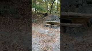 Chickasaw National Recreation Area  Travertine Island autumn fallishere foresthikes rocks [upl. by Sherye]