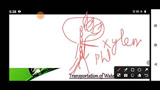 transportation in plants class 7th part 3 [upl. by Ellimaj171]