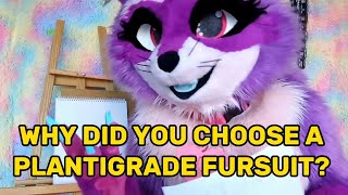 why choose a plantigrade fursuit over a digitigrade [upl. by Phare]