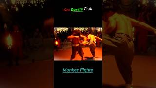 Monkey Fight 2024 ytshorts kungfu shorts kungfufight [upl. by Hertzfeld]