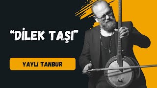 Dilek Taşı  Yaylı Tanbur  Ömer Göktepeliler [upl. by Eycats801]