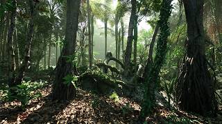 4K Photorealistic Tropical Rainforest in Unreal Engine 5  Relaxing Cinematic Tour [upl. by Aihtela145]