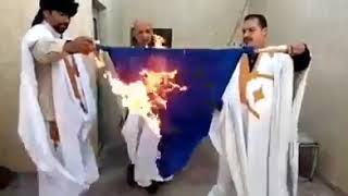 le drapeau de lUE brulé par le Polisario [upl. by Etteneg659]