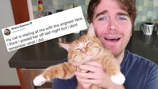 shane dawson RESPONDS to his quotcat scandalquot [upl. by Kaye188]