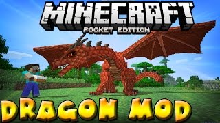 DRAGON MOD in MCPE  3 rideable dragons  Minecraft PE Pocket Edition [upl. by Nuhs121]