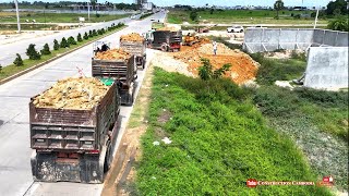 Expertly Team Works 5 Ton Dump Trucks Pour Soil With Mitsubishi BD2F Bulldozer Pushing Soil Sideroad [upl. by Yecak492]