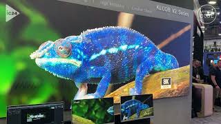 Absen Debuts KLCOB V2 Series at InfoComm 2024 [upl. by Gracye812]