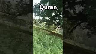 SURAH Al Hijar 🤲 Urdu Tarslesan 🌹 Shorts video [upl. by Yelsnit]