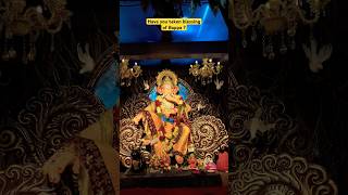 Kachwaha Ganesh Utsav Samithi 2024  Badichowdi Ka Raja 2024 shorts short shortvideo trending [upl. by Uhn]