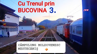 Cu Trenul prin BUCOVINA 3  CAMPULUNG MOLDOVENESC  MESTECANIS  L 502 [upl. by Valerie]