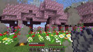 Cherry Blossom Trees guide how to grow cherry trees in your home area  Minecraft 121 [upl. by Saile262]