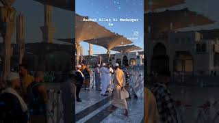 Ya Nabi Salam Alaika  Maher zain Songs  arabicmusic arabicringtone maherzaingojol shorts [upl. by Halyahs226]