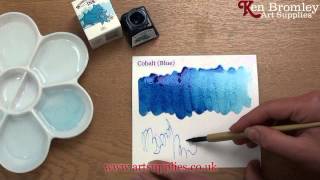 Winsor amp Newton Drawing Ink Cobalt Blue 176 [upl. by Ahcire]