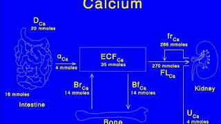 Calcium Nephrolithiasis [upl. by Marylee]