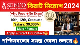 Senco Gold Job Vacancy 2024  Senco Gold Job Vacancy in Kolkata  Job Vacancy 2024  The jobs zone [upl. by Brookhouse]