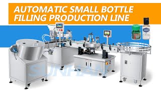 How To Use Automatic Servo Gear Pump Liquid Pigment Filling Production Line For Small Plastic Bottle [upl. by Iene677]