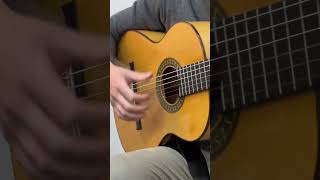 Rumba rasgeados technique guitar fingerstyleguitar flamencoguitarist guitartechnique music [upl. by Lleryt]