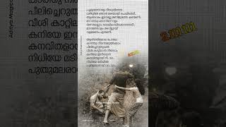 Poomuthole ❤  JOSEPH Malayalam Movie  shortvideo shorts short [upl. by Chessa]