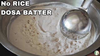 1 ingredient amp unbelievable Fermented Dosa batter without Rice  Millet Dosa recipe Sattvik kitchen [upl. by Christos]