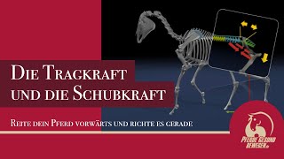 Tragkraft und Schubkraft  Reite Dein Pferd Vorwärts und richte es gerade [upl. by Carpet]