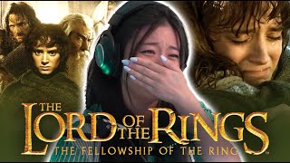 Lord Of The Rings Reaction  Fellowship Of The Ring EXTENDED EDITION 24 [upl. by Eahsan]