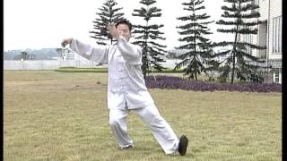 Meravigliosa esecuzione di forma Tai Chi  stile yang [upl. by Crystal]